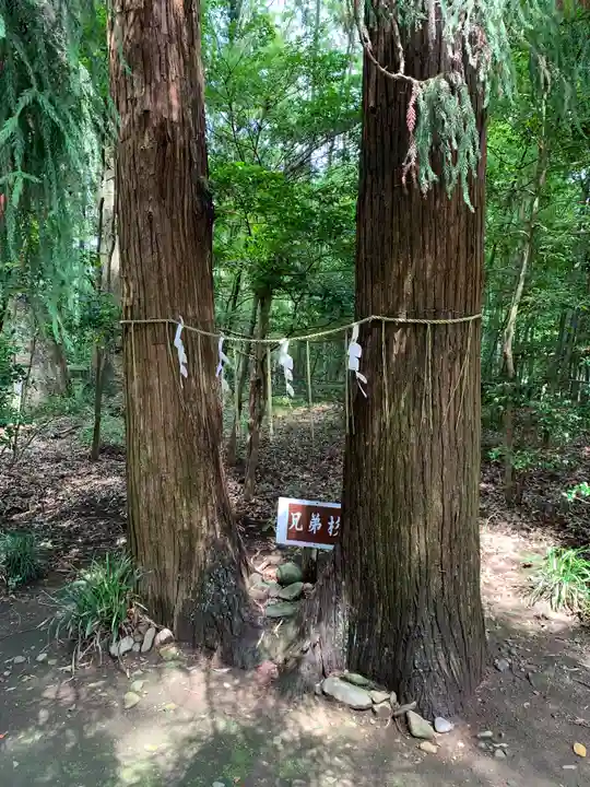 宮原八幡宮の自然