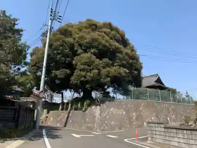 善導大師堂(千葉県)