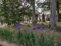 伏木香取神社(茨城県)