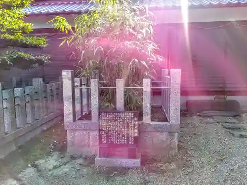 八幡宮（長瀬八幡宮）の自然