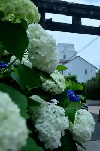 白山神社(東京都)