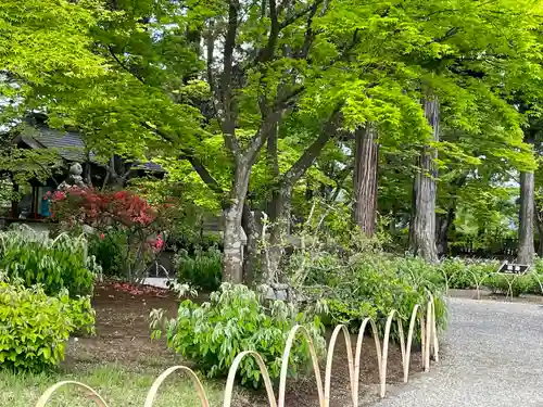 毛越寺(岩手県)