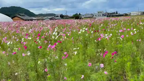 田村神社の周辺