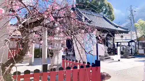 瀧宮神社(広島県)