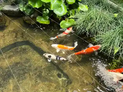 興臨院(京都府)