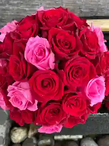 上尾御嶽神社の手水舎(2023年07月08日(土) 11時03分35秒投稿)