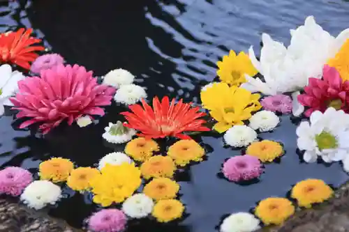 大鏑神社の手水