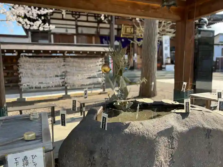 最勝院の手水舎