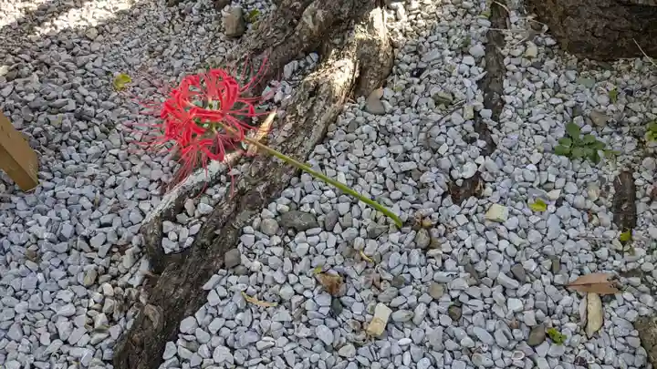 弁財天(那古寺境内社)の自然
