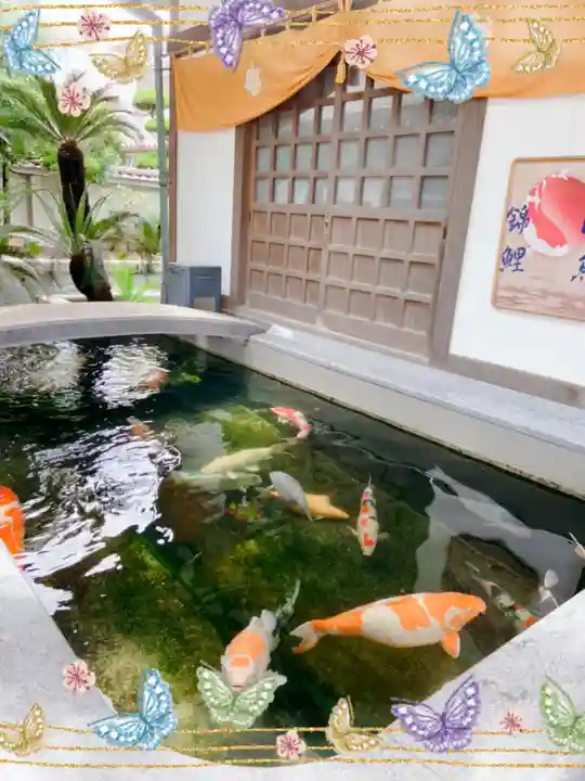 大聖観音寺(あびこ観音)の動物