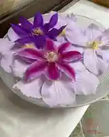 立志神社(滋賀県)