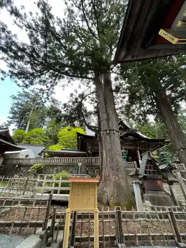 三峯神社(埼玉県)