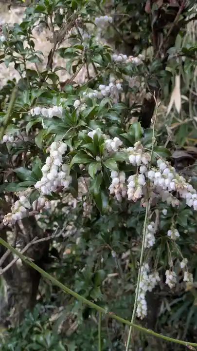惠心院(恵心院)(京都府)