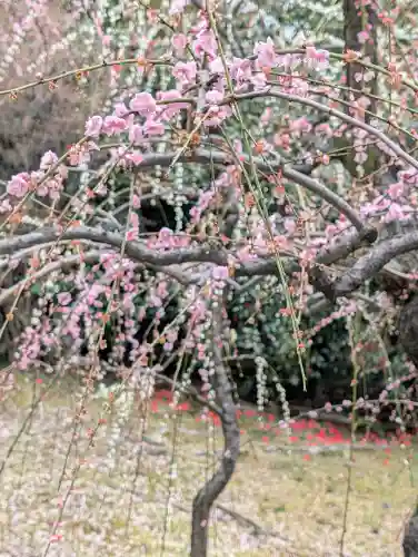 城南宮の{uncategorized: "未分類", other: "その他", undefined: "問題あり", building: "その他建物", grave: "お墓", sacred_gate: "鳥居", guardian: "狛犬", statue: "像", buddha: "仏像", history: "歴史", nature: "自然", garden: "庭園", animal: "動物", pagoda: "塔", temizu: "手水舎", mountain_gate: "山門・神門", sanctuary: "本殿・本堂", subordinate: "末社・摂社", art: "芸術", scenery: "景色", jizo: "地蔵", ema: "絵馬", goshuin: "御朱印", omikuji: "おみくじ", items: "授与品その他", amulet: "お守り", goshuincho: "御朱印帳", eats: "食事", festival: "お祭り", votive_dance: "神楽", shichigosan: "七五三参", wedding: "結婚式", experience: "体験その他", initially: "初詣", around: "周辺", anti_infection: "感染症対策"}