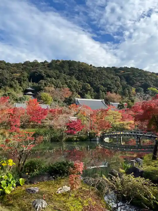 禅林寺(永観堂)の庭園
