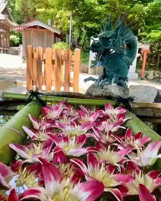 立志神社(滋賀県)
