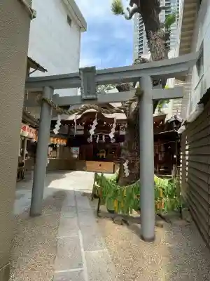 少彦名神社の{uncategorized: "未分類", other: "その他", undefined: "問題あり", building: "その他建物", grave: "お墓", sacred_gate: "鳥居", guardian: "狛犬", statue: "像", buddha: "仏像", history: "歴史", nature: "自然", garden: "庭園", animal: "動物", pagoda: "塔", temizu: "手水舎", mountain_gate: "山門・神門", sanctuary: "本殿・本堂", subordinate: "末社・摂社", art: "芸術", scenery: "景色", jizo: "地蔵", ema: "絵馬", goshuin: "御朱印", omikuji: "おみくじ", items: "授与品その他", amulet: "お守り", goshuincho: "御朱印帳", eats: "食事", festival: "お祭り", votive_dance: "神楽", shichigosan: "七五三参", wedding: "結婚式", experience: "体験その他", initially: "初詣", around: "周辺", anti_infection: "感染症対策"}