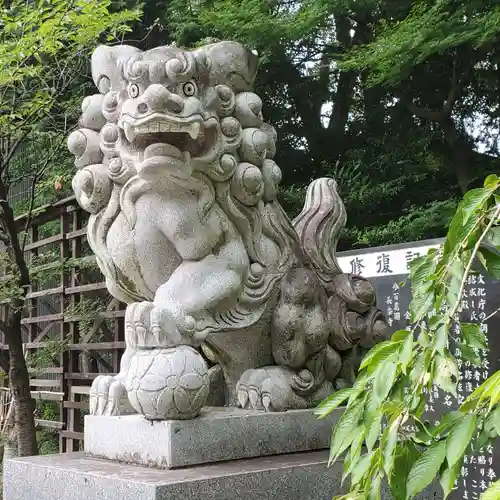 富部神社の狛犬