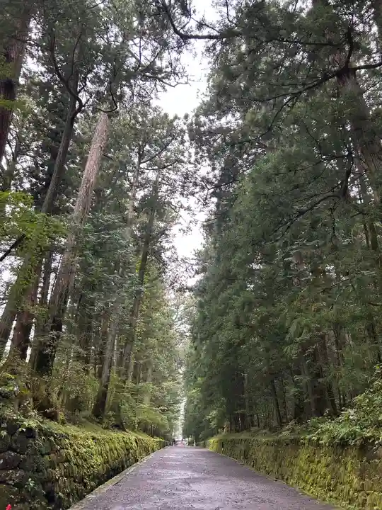 日光東照宮(栃木県)