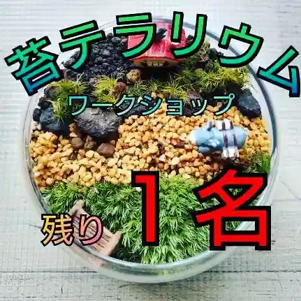 日蓮宗 総本山 塔頭 定林坊(じょうりんぼう)の体験その他