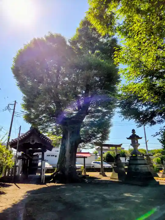 佐間天神社(埼玉県)