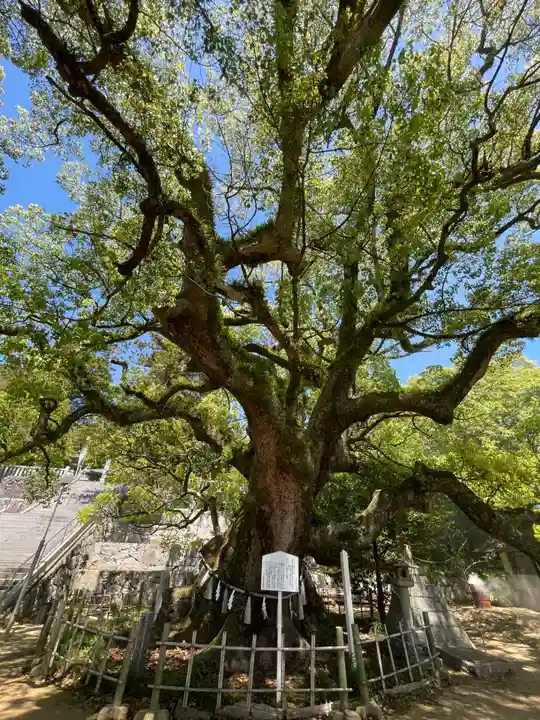 富田神社(香川県)