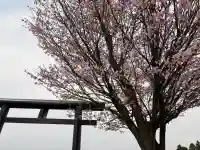 古四王神社の{uncategorized: "未分類", other: "その他", undefined: "問題あり", building: "その他建物", grave: "お墓", sacred_gate: "鳥居", guardian: "狛犬", statue: "像", buddha: "仏像", history: "歴史", nature: "自然", garden: "庭園", animal: "動物", pagoda: "塔", temizu: "手水舎", mountain_gate: "山門・神門", sanctuary: "本殿・本堂", subordinate: "末社・摂社", art: "芸術", scenery: "景色", jizo: "地蔵", ema: "絵馬", goshuin: "御朱印", omikuji: "おみくじ", items: "授与品その他", amulet: "お守り", goshuincho: "御朱印帳", eats: "食事", festival: "お祭り", votive_dance: "神楽", shichigosan: "七五三参", wedding: "結婚式", experience: "体験その他", initially: "初詣", around: "周辺", anti_infection: "感染症対策"}