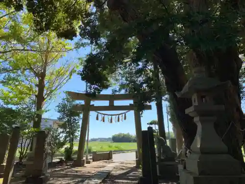 八幡神社の鳥居