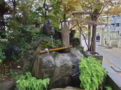 松戸神社(千葉県)