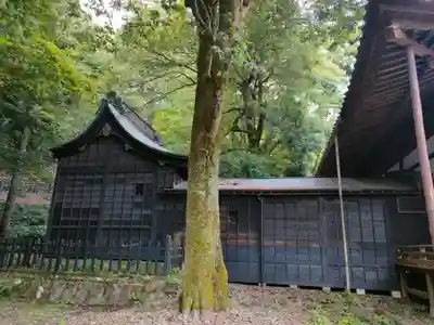 柳廼社の本殿・本堂