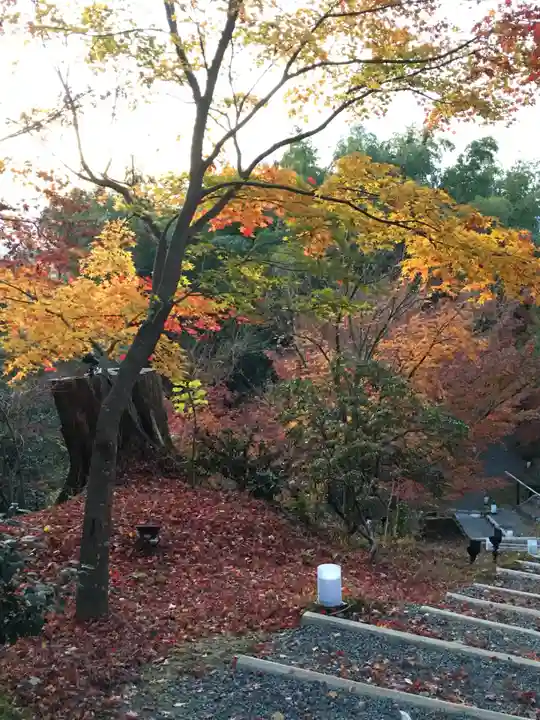 高台寺(高台寿聖禅寺・高臺寺)(京都府)