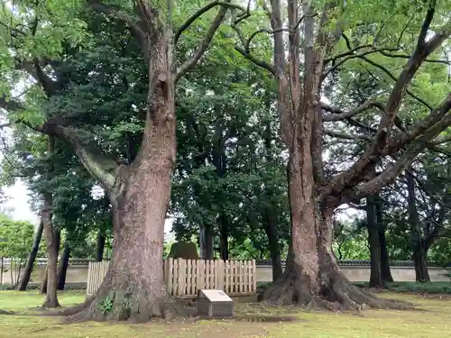 弘道館鹿島神社(茨城県)
