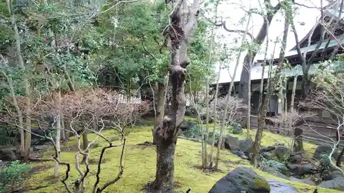 三嶋大社の庭園