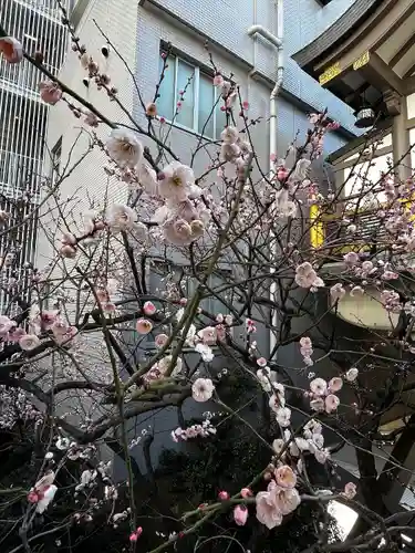 湯島天満宮(東京都)