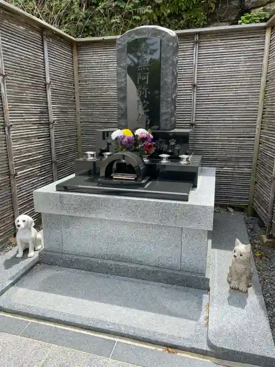 浄土寺の{uncategorized: "未分類", other: "その他", undefined: "問題あり", building: "その他建物", grave: "お墓", sacred_gate: "鳥居", guardian: "狛犬", statue: "像", buddha: "仏像", history: "歴史", nature: "自然", garden: "庭園", animal: "動物", pagoda: "塔", temizu: "手水舎", mountain_gate: "山門・神門", sanctuary: "本殿・本堂", subordinate: "末社・摂社", art: "芸術", scenery: "景色", jizo: "地蔵", ema: "絵馬", goshuin: "御朱印", omikuji: "おみくじ", items: "授与品その他", amulet: "お守り", goshuincho: "御朱印帳", eats: "食事", festival: "お祭り", votive_dance: "神楽", shichigosan: "七五三参", wedding: "結婚式", experience: "体験その他", initially: "初詣", around: "周辺", anti_infection: "感染症対策"}