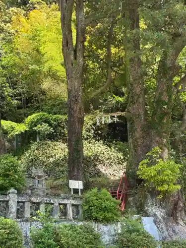 土肥神社の{uncategorized: "未分類", other: "その他", undefined: "問題あり", building: "その他建物", grave: "お墓", sacred_gate: "鳥居", guardian: "狛犬", statue: "像", buddha: "仏像", history: "歴史", nature: "自然", garden: "庭園", animal: "動物", pagoda: "塔", temizu: "手水舎", mountain_gate: "山門・神門", sanctuary: "本殿・本堂", subordinate: "末社・摂社", art: "芸術", scenery: "景色", jizo: "地蔵", ema: "絵馬", goshuin: "御朱印", omikuji: "おみくじ", items: "授与品その他", amulet: "お守り", goshuincho: "御朱印帳", eats: "食事", festival: "お祭り", votive_dance: "神楽", shichigosan: "七五三参", wedding: "結婚式", experience: "体験その他", initially: "初詣", around: "周辺", anti_infection: "感染症対策"}