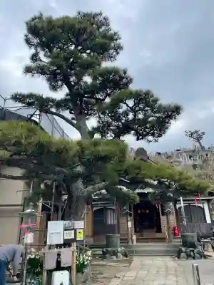 本成寺の{uncategorized: "未分類", other: "その他", undefined: "問題あり", building: "その他建物", grave: "お墓", sacred_gate: "鳥居", guardian: "狛犬", statue: "像", buddha: "仏像", history: "歴史", nature: "自然", garden: "庭園", animal: "動物", pagoda: "塔", temizu: "手水舎", mountain_gate: "山門・神門", sanctuary: "本殿・本堂", subordinate: "末社・摂社", art: "芸術", scenery: "景色", jizo: "地蔵", ema: "絵馬", goshuin: "御朱印", omikuji: "おみくじ", items: "授与品その他", amulet: "お守り", goshuincho: "御朱印帳", eats: "食事", festival: "お祭り", votive_dance: "神楽", shichigosan: "七五三参", wedding: "結婚式", experience: "体験その他", initially: "初詣", around: "周辺", anti_infection: "感染症対策"}
