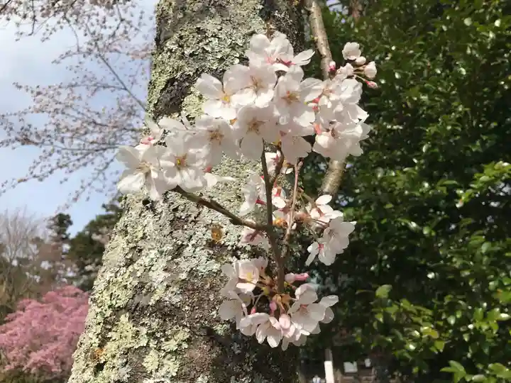 施福寺(大阪府)