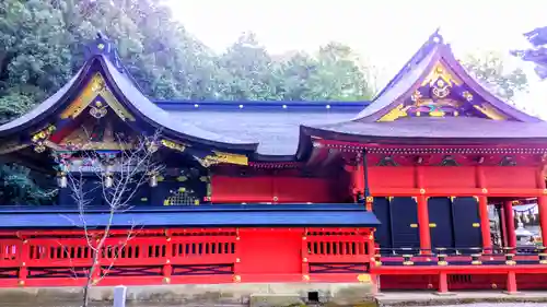 六所神社の本殿・本堂