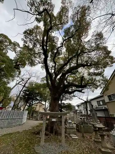 信太森神社（葛葉稲荷神社）(大阪府)