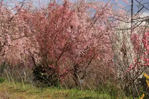 阿久津「田村神社」（郡山市阿久津町）旧社名：伊豆箱根三嶋三社の庭園