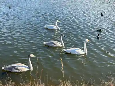常陸二ノ宮　静神社(茨城県)