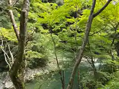 西明寺(京都府)