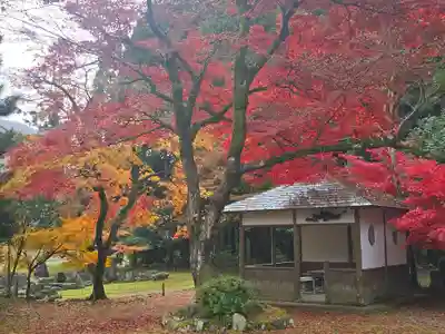 興聖寺(滋賀県)