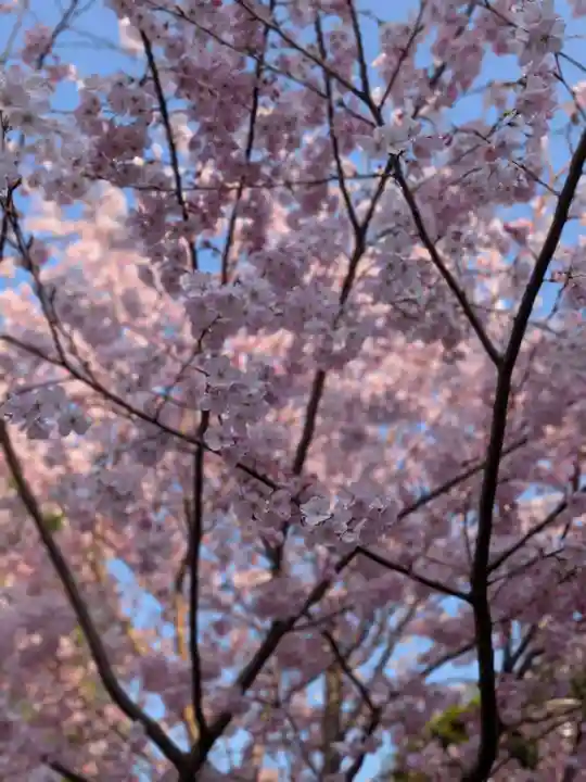 神明氷川神社(東京都)
