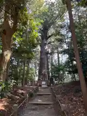 麻賀多神社(千葉県)