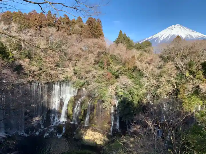 熊野神社の自然