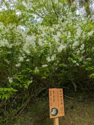 長谷寺(奈良県)