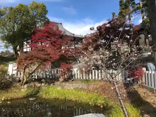 くろ谷 金戒光明寺(京都府)