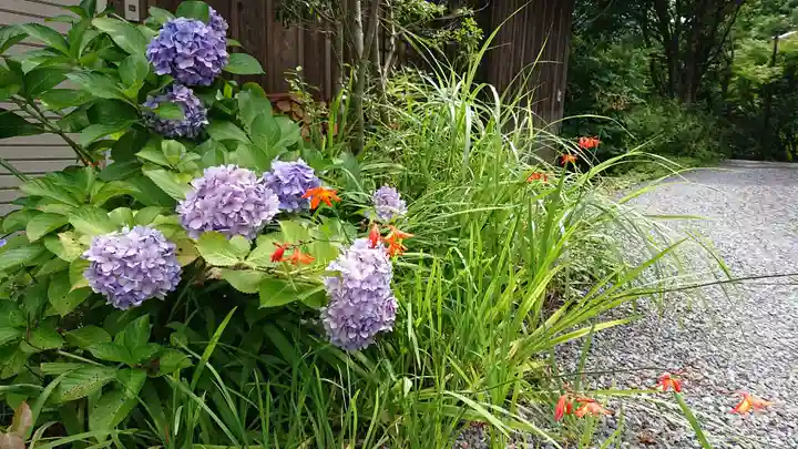 覚性律庵の自然